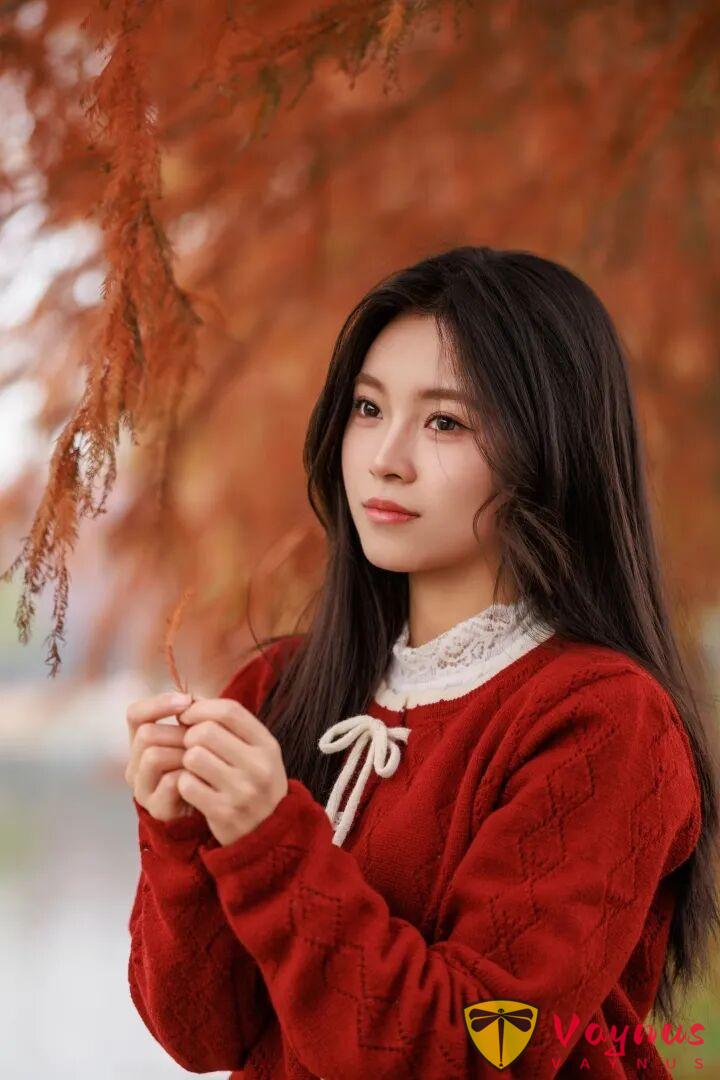 9個落羽杉拍照姿勢，紅杉林裡的一抹紅，拍出極致的秋冬氛圍感