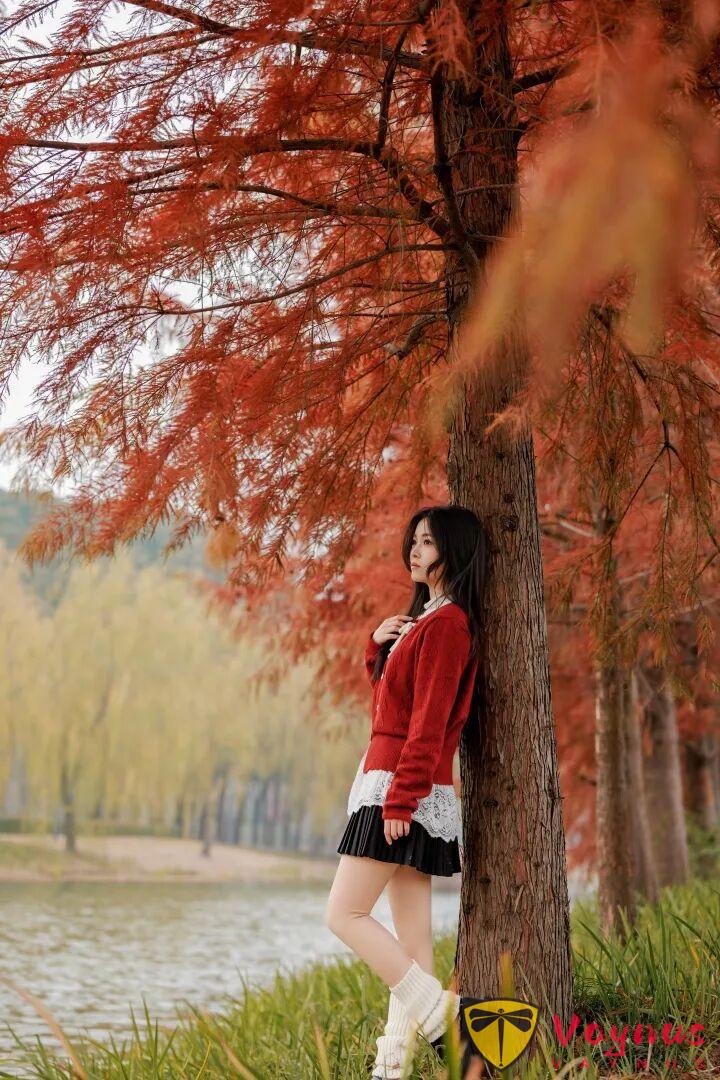 9個落羽杉拍照姿勢，紅杉林裡的一抹紅，拍出極致的秋冬氛圍感