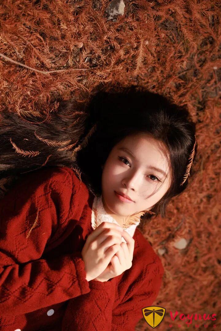 9個落羽杉拍照姿勢，紅杉林裡的一抹紅，拍出極致的秋冬氛圍感