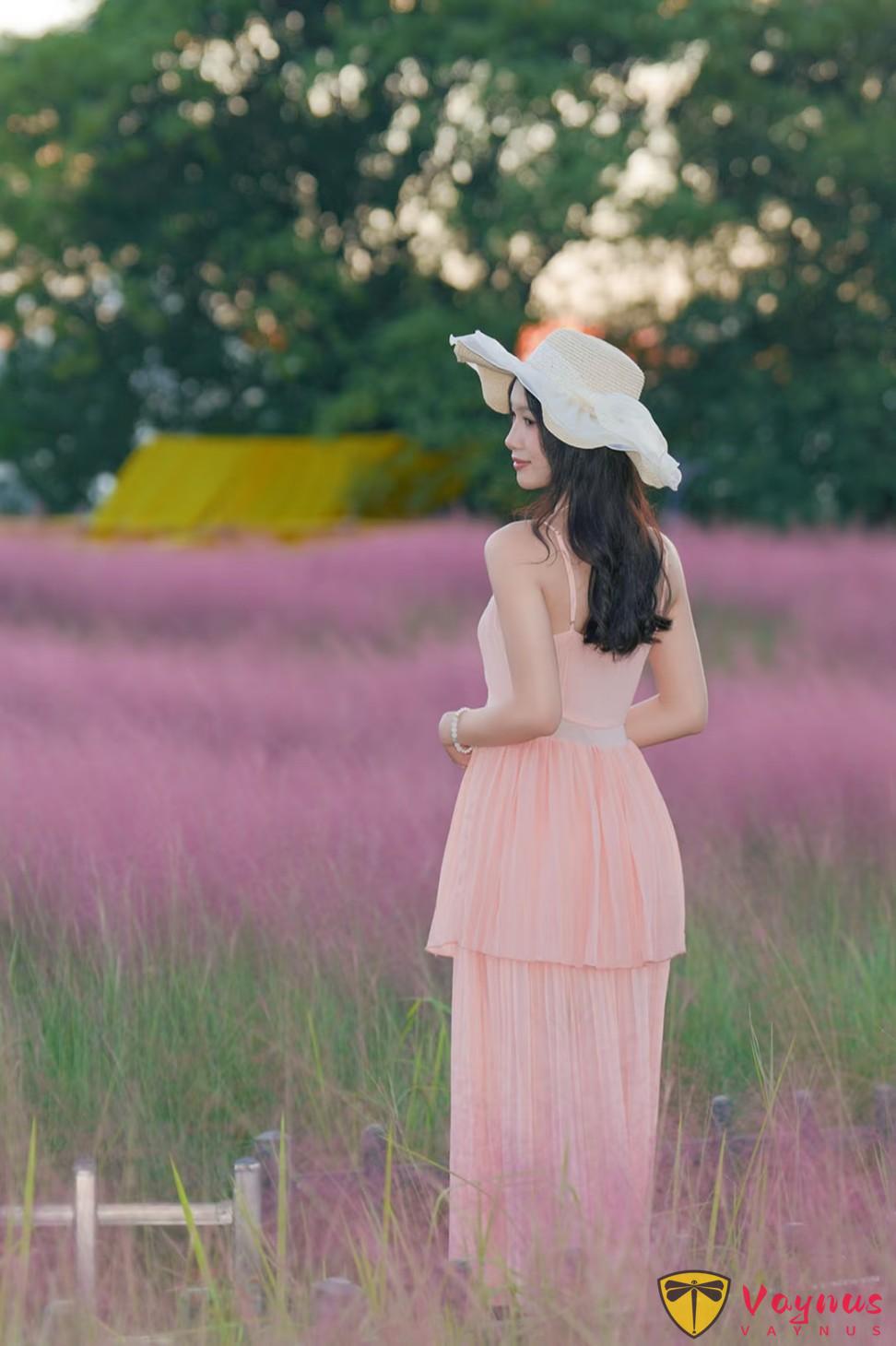 秋天限定的粉色海洋,9個粉黛草拍照姿勢,簡直太美了,氛圍拉滿