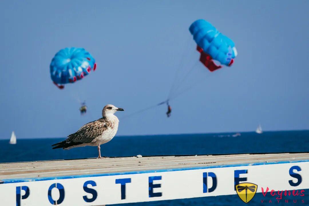 住過尼斯的人還會愛上巴黎嗎?