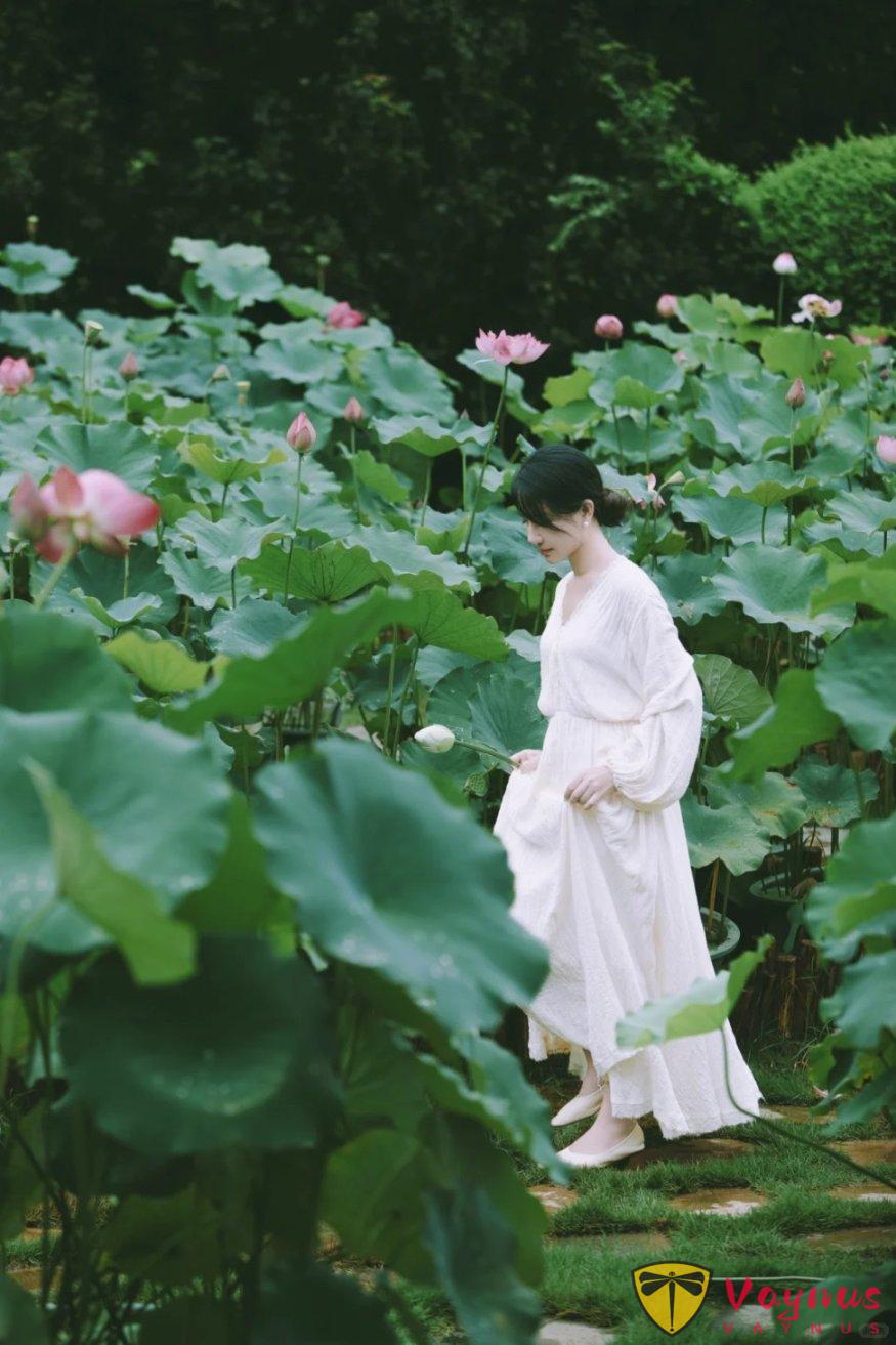 夏日荷花这么拍!get这五个拍照姿势+技巧!美翻朋友圈,秒变“花仙子”