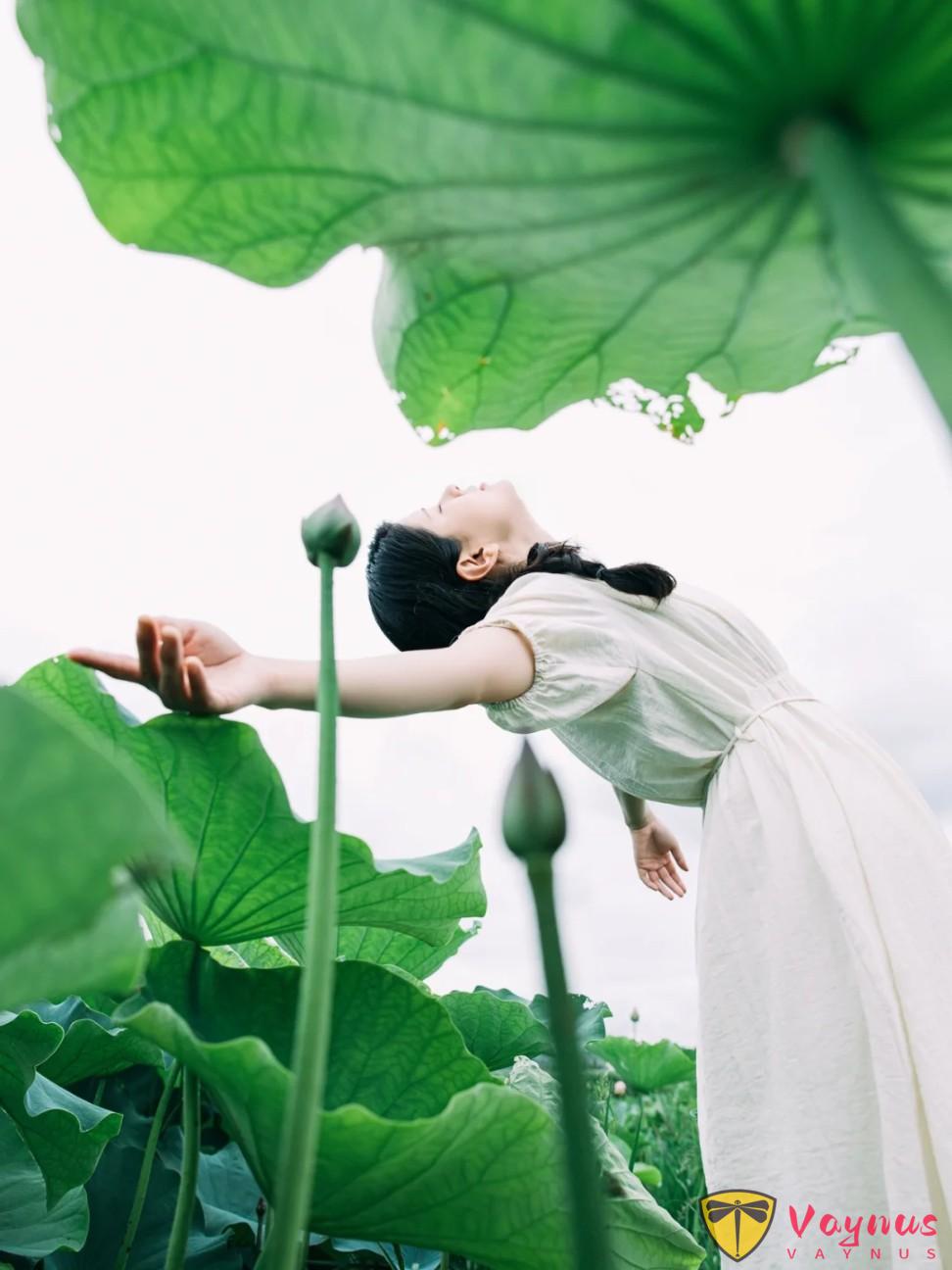夏日荷花这么拍!get这五个拍照姿势+技巧!美翻朋友圈,秒变“花仙子”