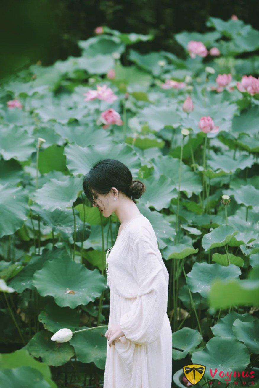 夏日荷花这么拍!get这五个拍照姿势+技巧!美翻朋友圈,秒变“花仙子”