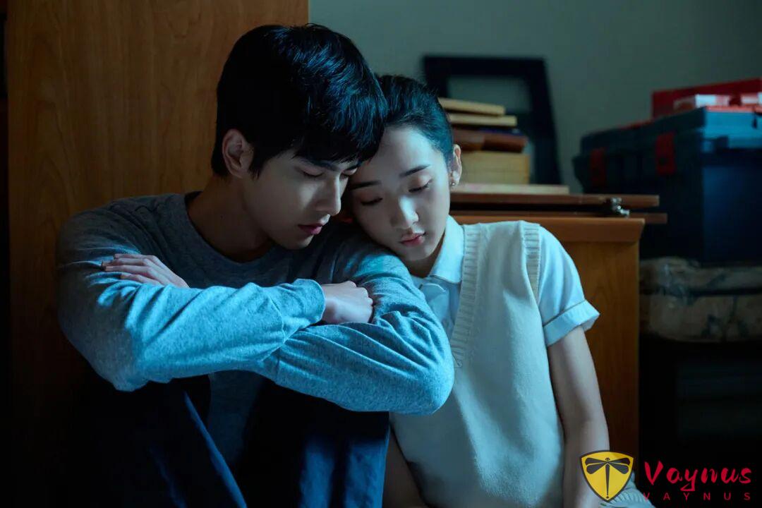 播前期待,播后却评价两极!这压轴台剧《如果我不曾见过太阳》,没那么差!