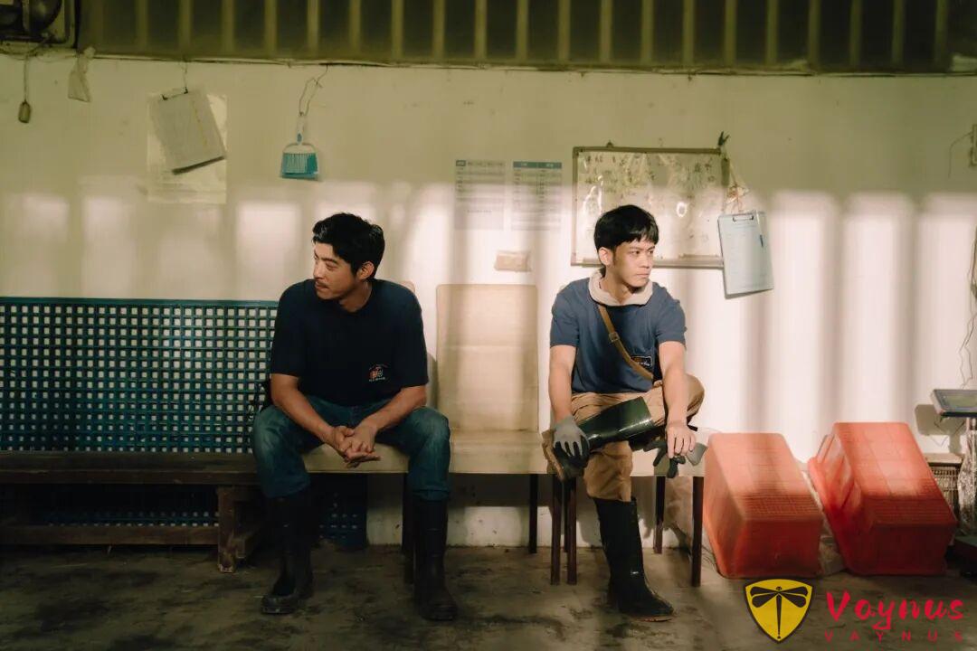 又官宣一部臺劇《動物園》，他倆二搭了，這劇，近期最甜！