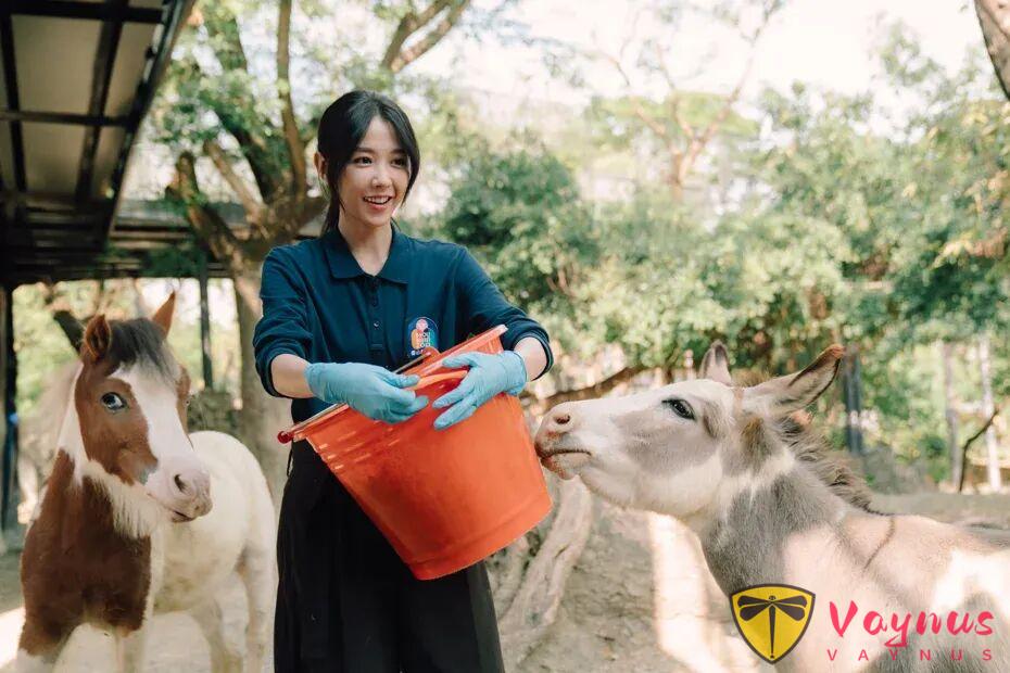 又官宣一部臺劇《動物園》，他倆二搭了，這劇，近期最甜！