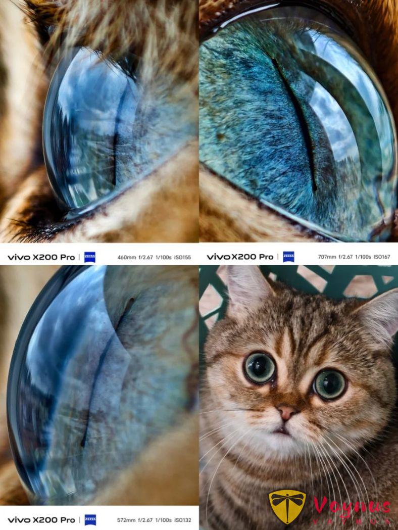 長焦微距究竟有多好玩？試了你就知道了，真的用過就回不去了