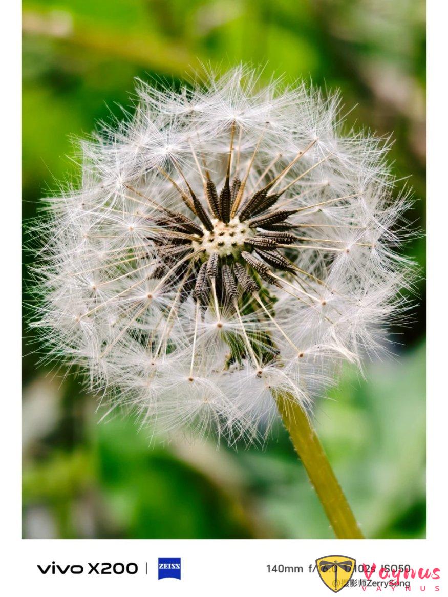 長焦微距究竟有多好玩？試了你就知道了，真的用過就回不去了