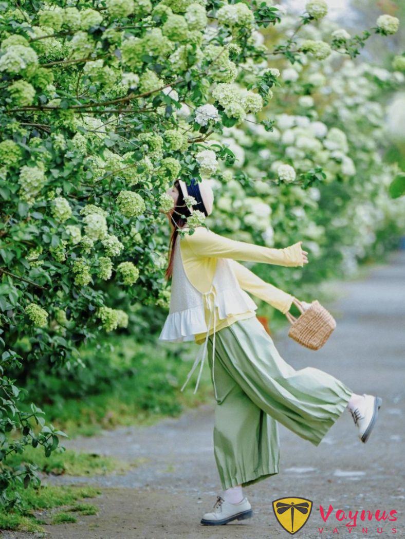 绣球花这样拍绝了！6个拍照姿势，春日氛围拉满，谁拍谁漂亮出片！