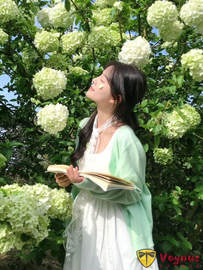 绣球花这样拍绝了！6个拍照姿势，春日氛围拉满，谁拍谁漂亮出片！