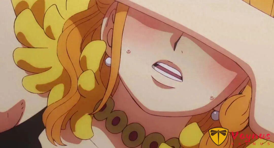 海賊王動漫正式復播，巨人族篇章開啟，草帽一夥前往艾爾巴夫