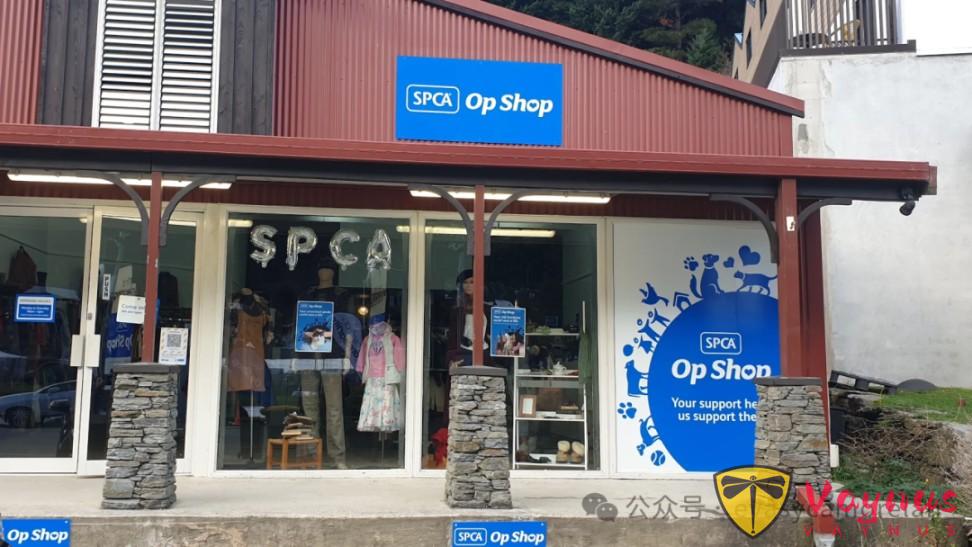 在紐西蘭生活一年,我總結了最實用的省錢方式