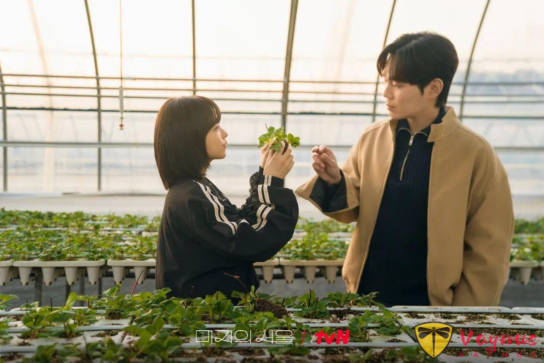 开分8.4分，远超预期！又挖到一部黑马宝藏韩剧《未知的首尔》！