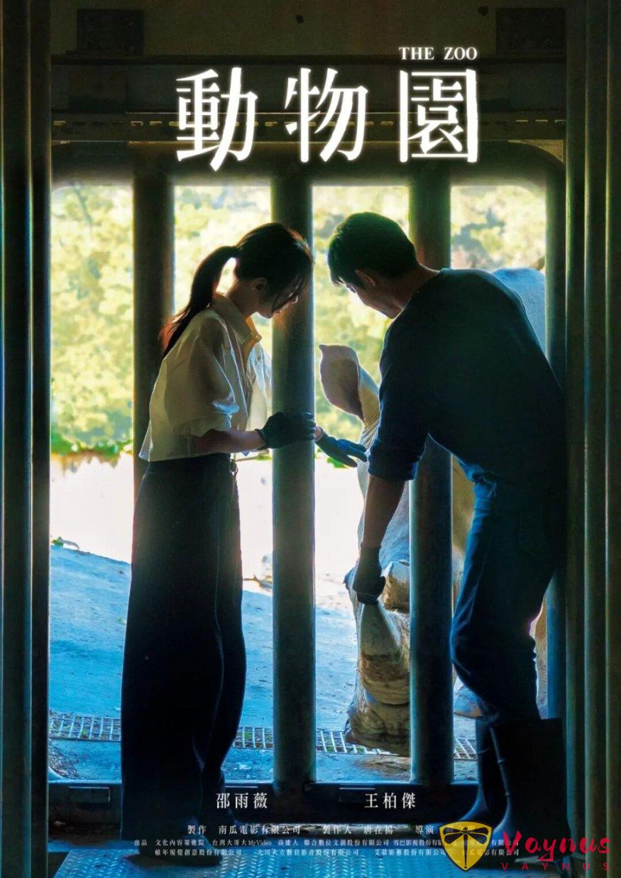 久违的爱情台剧《动物园》！还是他俩主演，这剧我疯狂期待