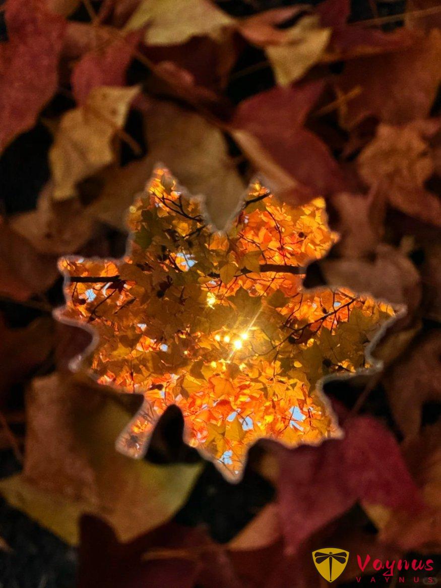 让镜子告诉你秋天有多漂亮!一面镜子让我的秋天照片封神了丨附拍摄教程