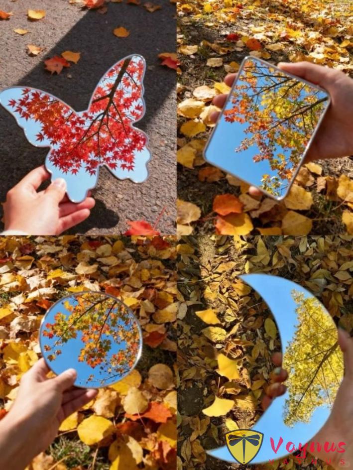 让镜子告诉你秋天有多漂亮!一面镜子让我的秋天照片封神了丨附拍摄教程