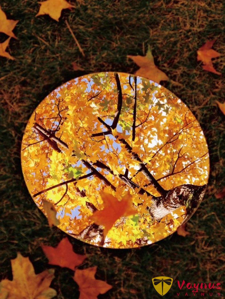 让镜子告诉你秋天有多漂亮!一面镜子让我的秋天照片封神了丨附拍摄教程