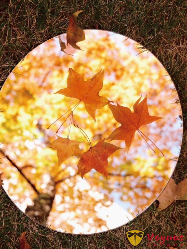 让镜子告诉你秋天有多漂亮!一面镜子让我的秋天照片封神了丨附拍摄教程