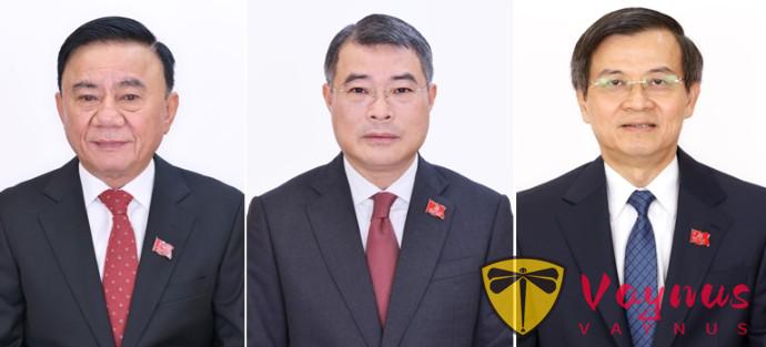 越共十四大局委中為什麼沒有副總理？