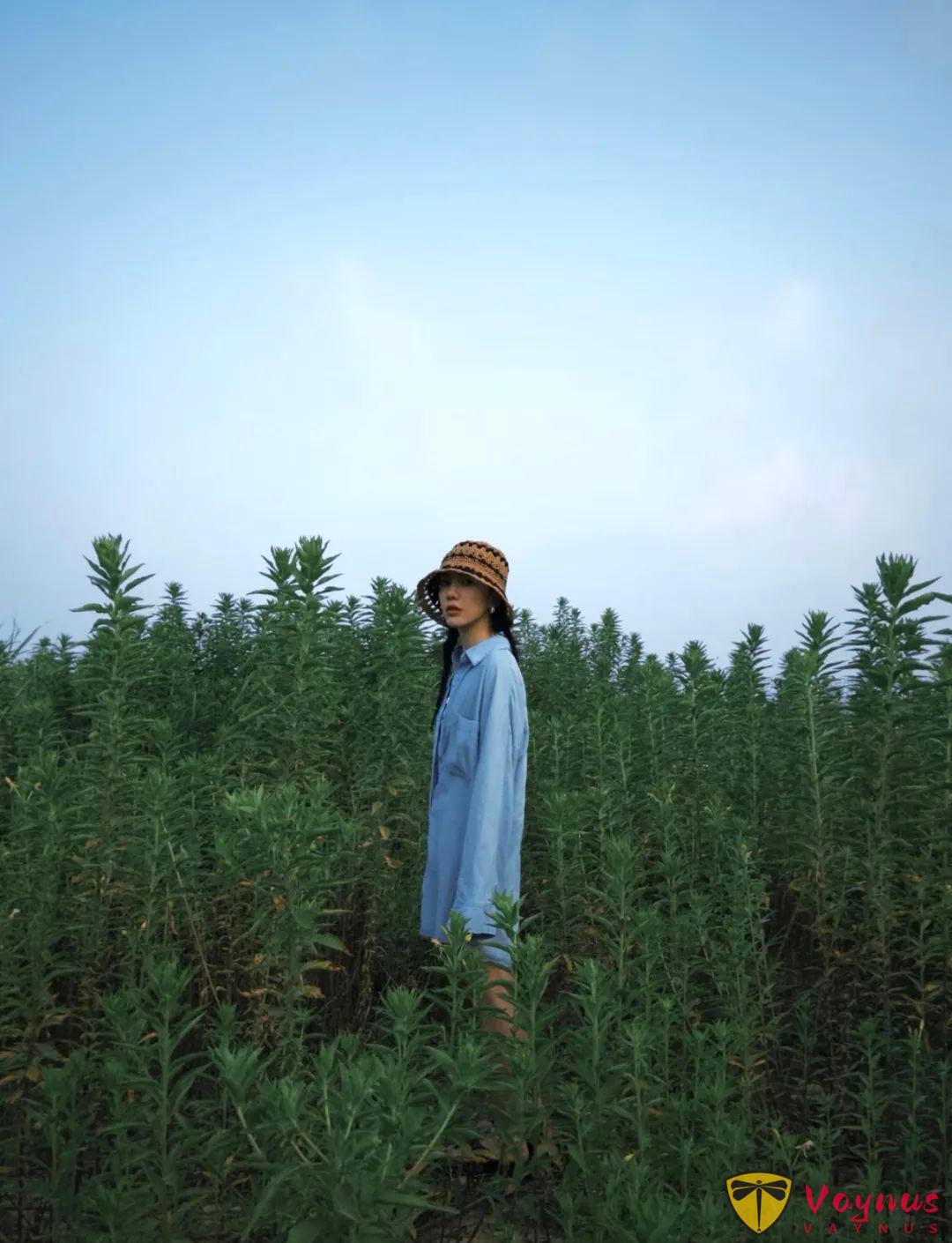 夏日牛仔色