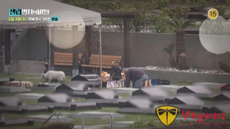 大S驟逝後的羅生門，十億遺產，三方爭奪，S媽分文未得！