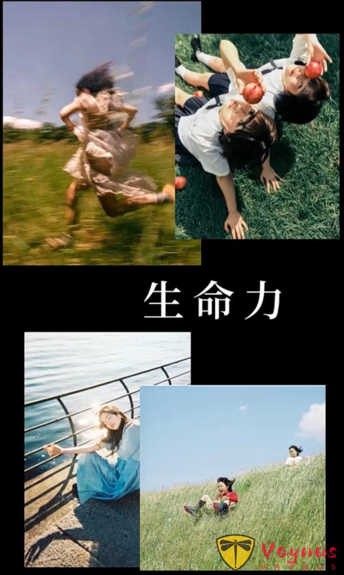 公园怎么拍?几个简单且出片的拍摄思路,生命力、氛围感轻松拿捏,赞爆朋友圈!