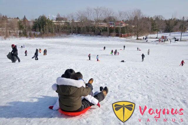 “零門檻”的加拿大冬季國民運動,抓起滑板去衝坡,你瞭解嗎?