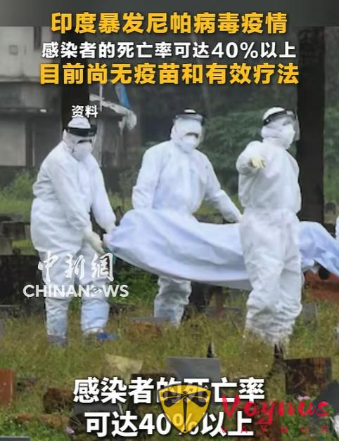 印度暴发疫情，死亡率曾一度高达 100%！国内曾发现高度相关病毒，有娃家庭该怎么防？