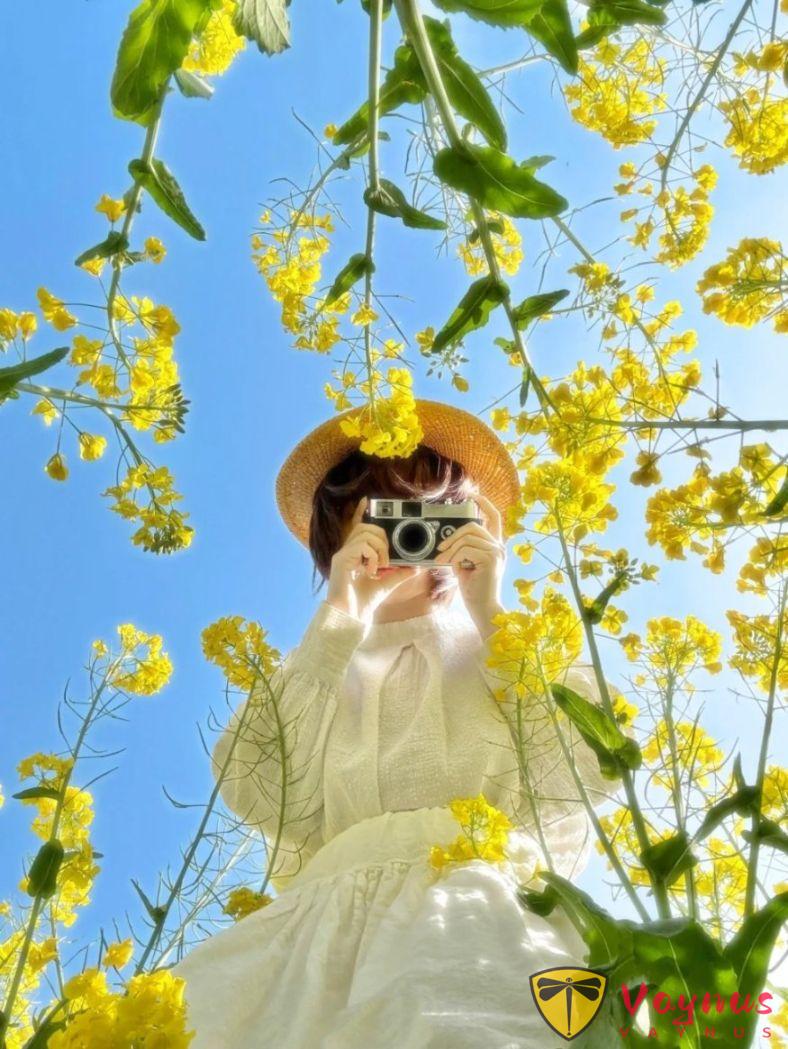 是谁在说油菜花土啊！油菜花这么拍文艺也出片，轻松拍出女神范儿