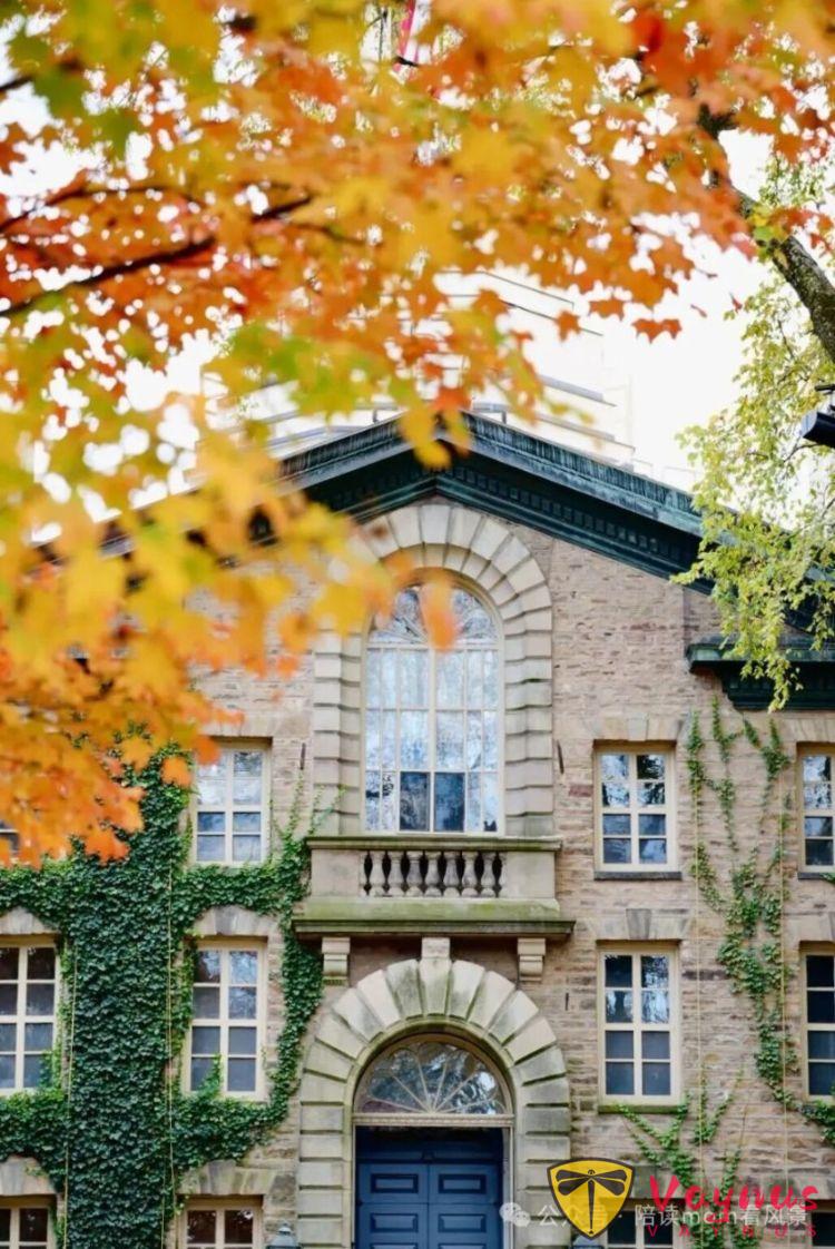 普林斯頓:歷史厚重感與現代活力巧妙融合的美麗小鎮