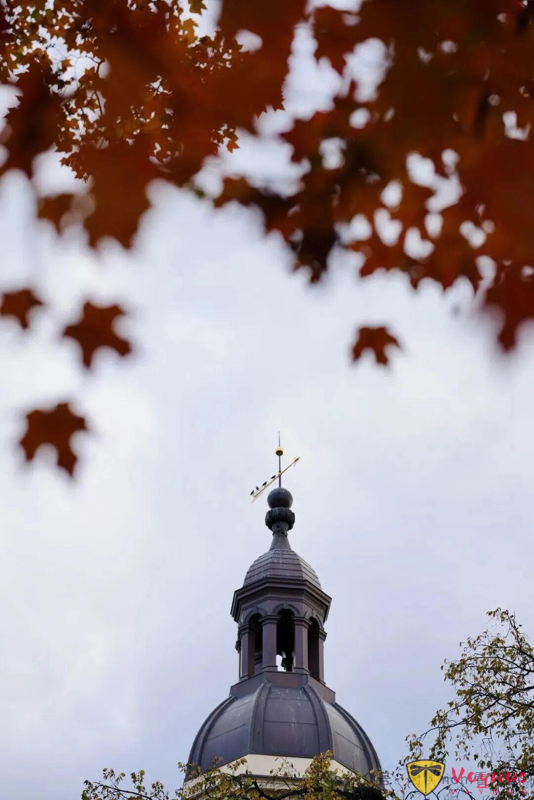 普林斯頓:歷史厚重感與現代活力巧妙融合的美麗小鎮