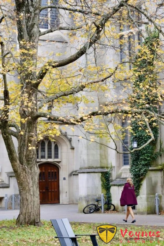 普林斯頓:歷史厚重感與現代活力巧妙融合的美麗小鎮