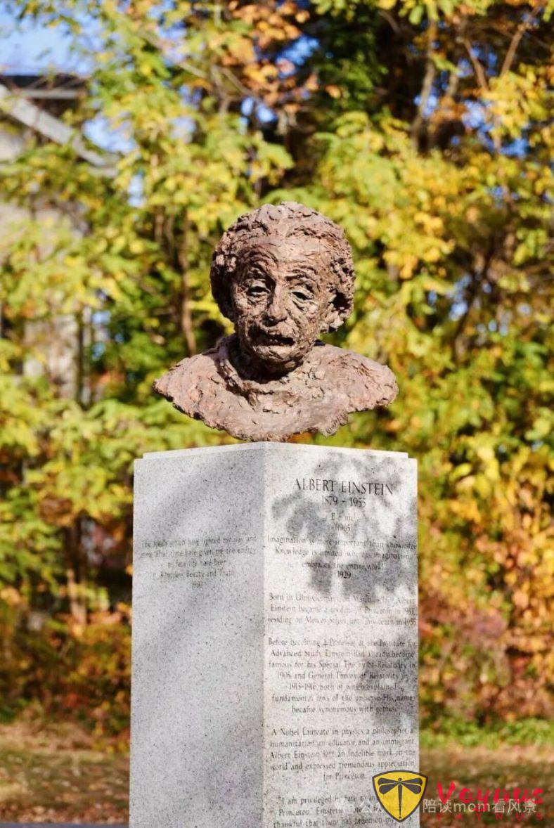 普林斯頓:歷史厚重感與現代活力巧妙融合的美麗小鎮