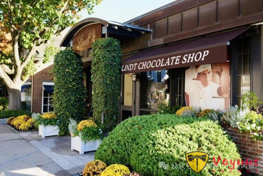 普林斯頓:歷史厚重感與現代活力巧妙融合的美麗小鎮