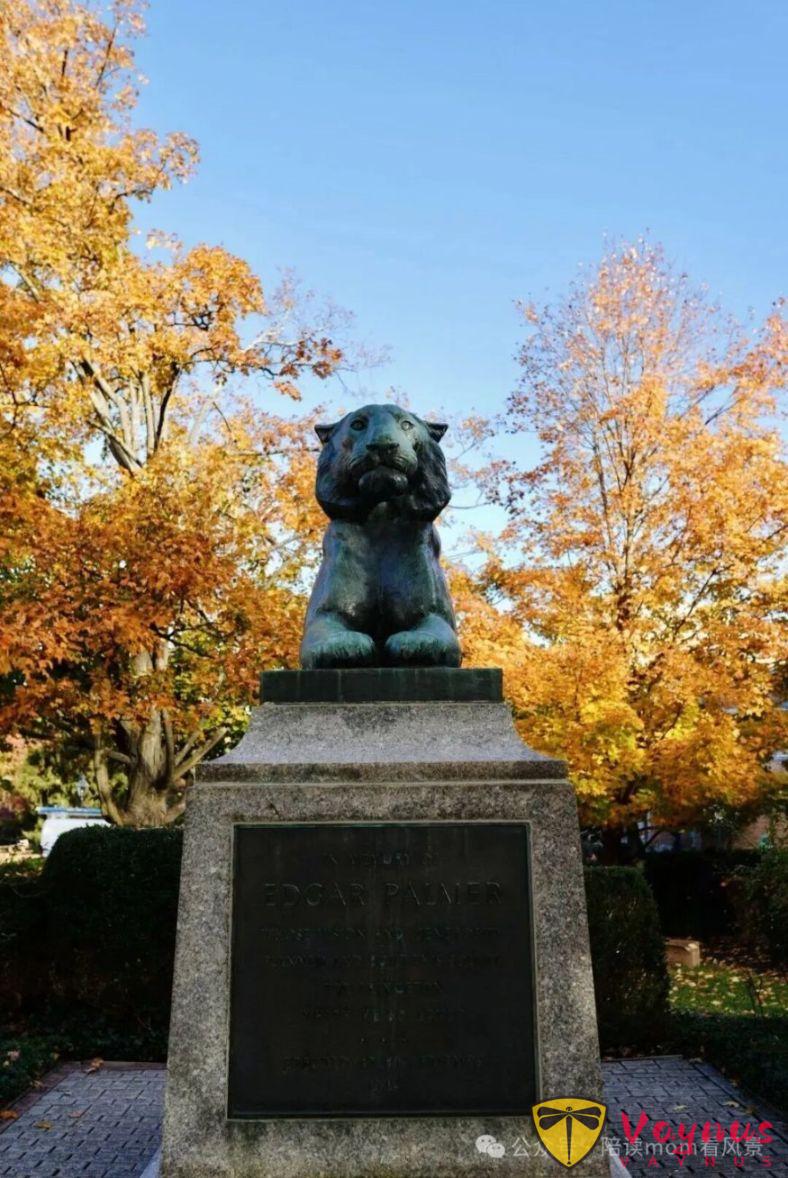 普林斯頓:歷史厚重感與現代活力巧妙融合的美麗小鎮