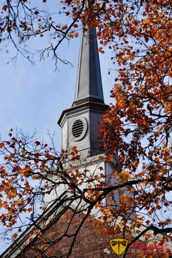 普林斯頓:歷史厚重感與現代活力巧妙融合的美麗小鎮