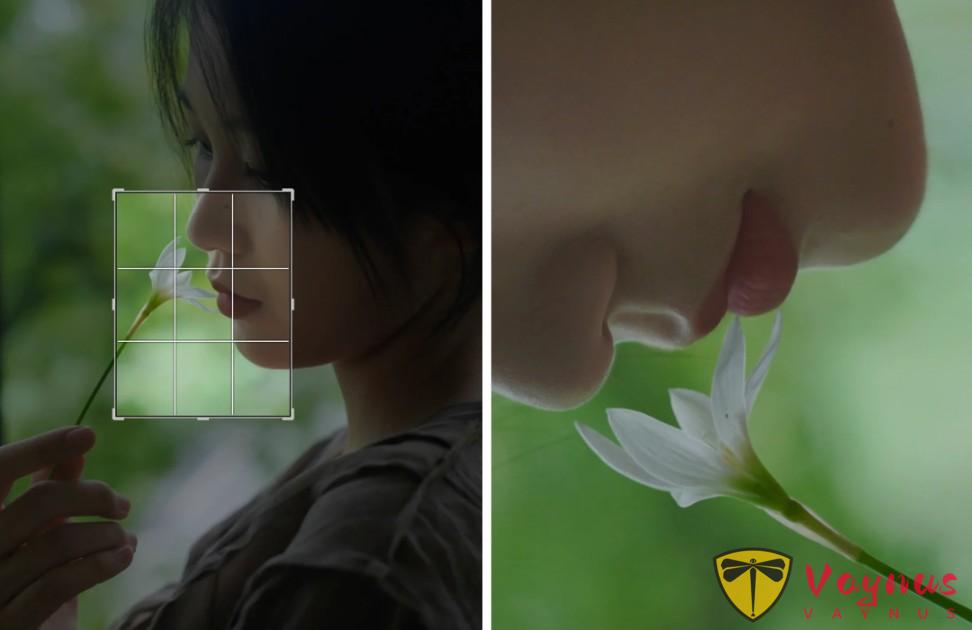 如何讓讓普通照片瞬間封神？神仙二次構圖，裁著裁著就成了海報大片