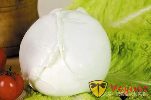 从樱桃奶酪到辫子奶酪：马苏里拉奶酪有多少种？