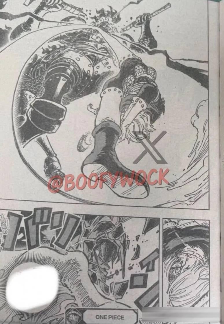 海賊王1197話情報圖全圖解說《愛即是防禦力》
