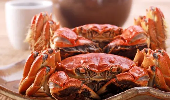 西餐中的螃蟹！🦀🦀🦀