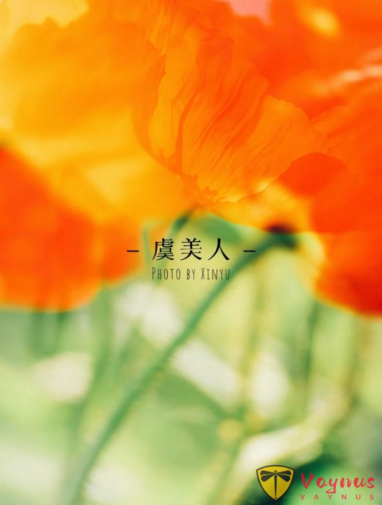 爆款画意感照片是怎么拍出来的？简单2步教会你，拍出高级感大片！