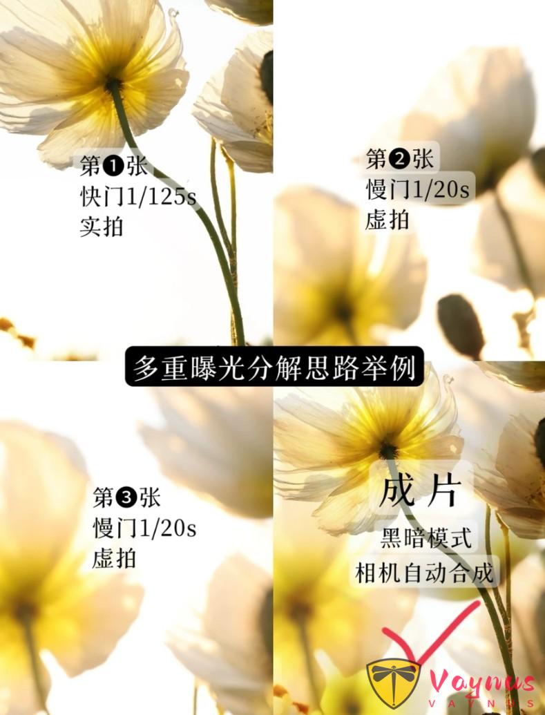 爆款画意感照片是怎么拍出来的？简单2步教会你，拍出高级感大片！