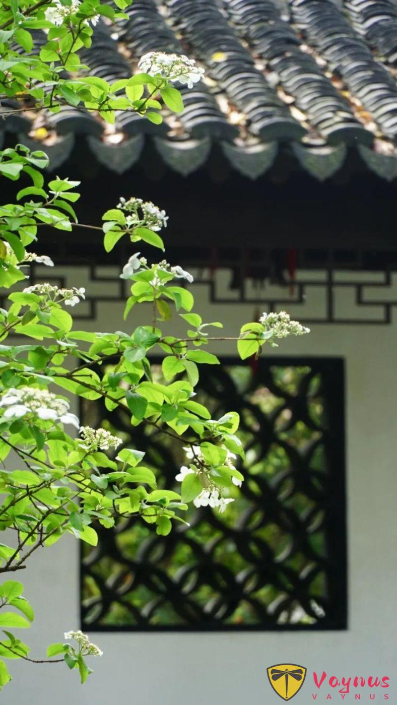 立春 | 生萬物,為廿四節氣之首,又名正月節、歲節、改歲、歲旦等