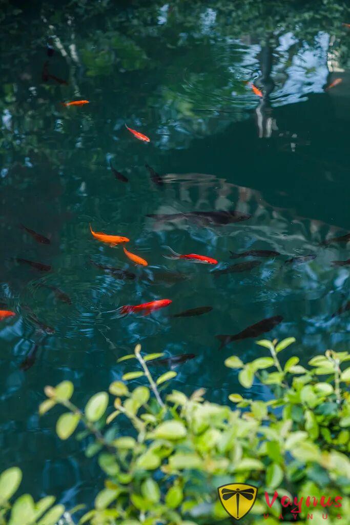 立春 | 生萬物,為廿四節氣之首,又名正月節、歲節、改歲、歲旦等