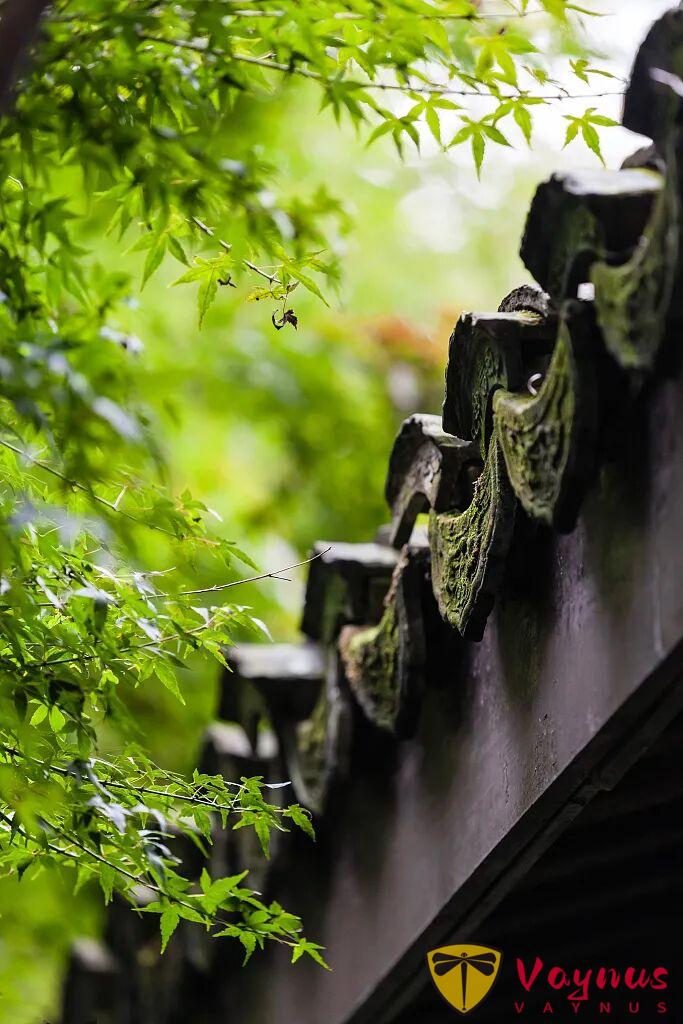 立春 | 生萬物,為廿四節氣之首,又名正月節、歲節、改歲、歲旦等