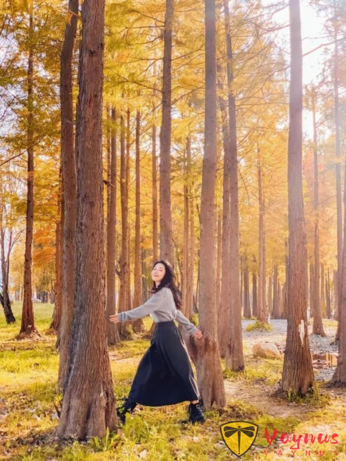 手機拍出氛圍感的5個萬能技巧，公園這樣拍照氛圍感太絕了！