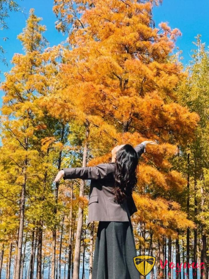 手機拍出氛圍感的5個萬能技巧，公園這樣拍照氛圍感太絕了！