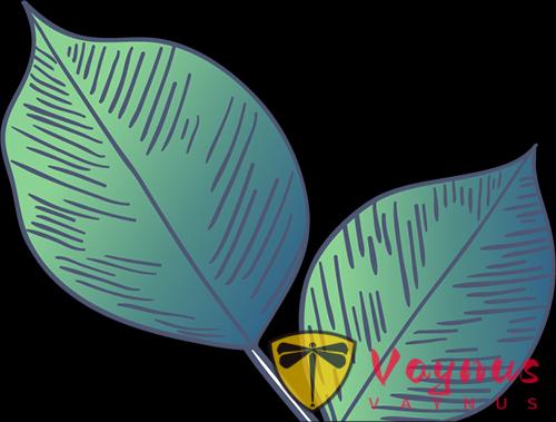 一次性教会你西餐中的这些汤!清汤、浓汤、冷汤......