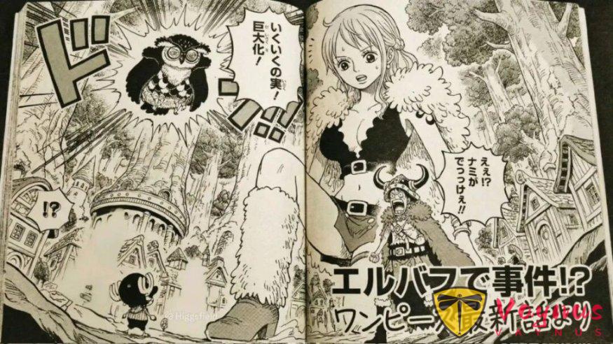 海贼王1178话:乔巴和索隆击败恶魔傀儡,图书馆的书籍消失了